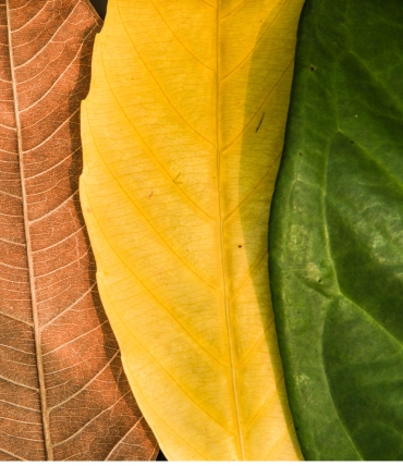 Millaiset vuodevaatteet valita vuodenajan mukaan?