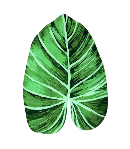 Kylpyhuoneen matto „Leaf mat“. Kylpyhuoneen matto